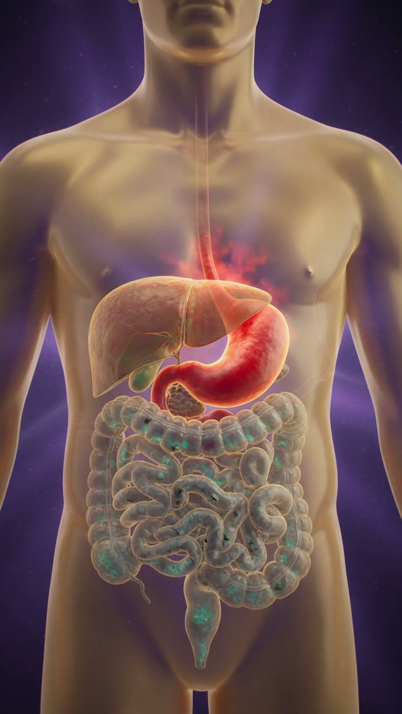 Digestive Detox